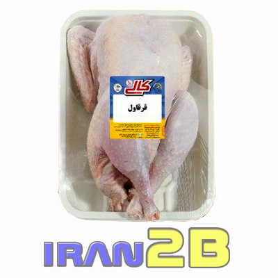 گوشت قرقاول